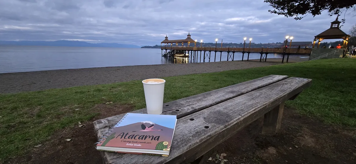 El libro Atacama sobre un banco de madera frente a un lago del sur de Chile, al atardecer
