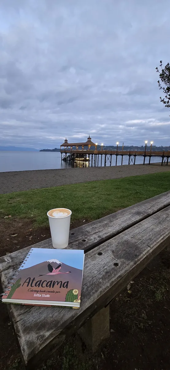 El libro Atacama y un café sobre un banco junto al muelle, de noche
