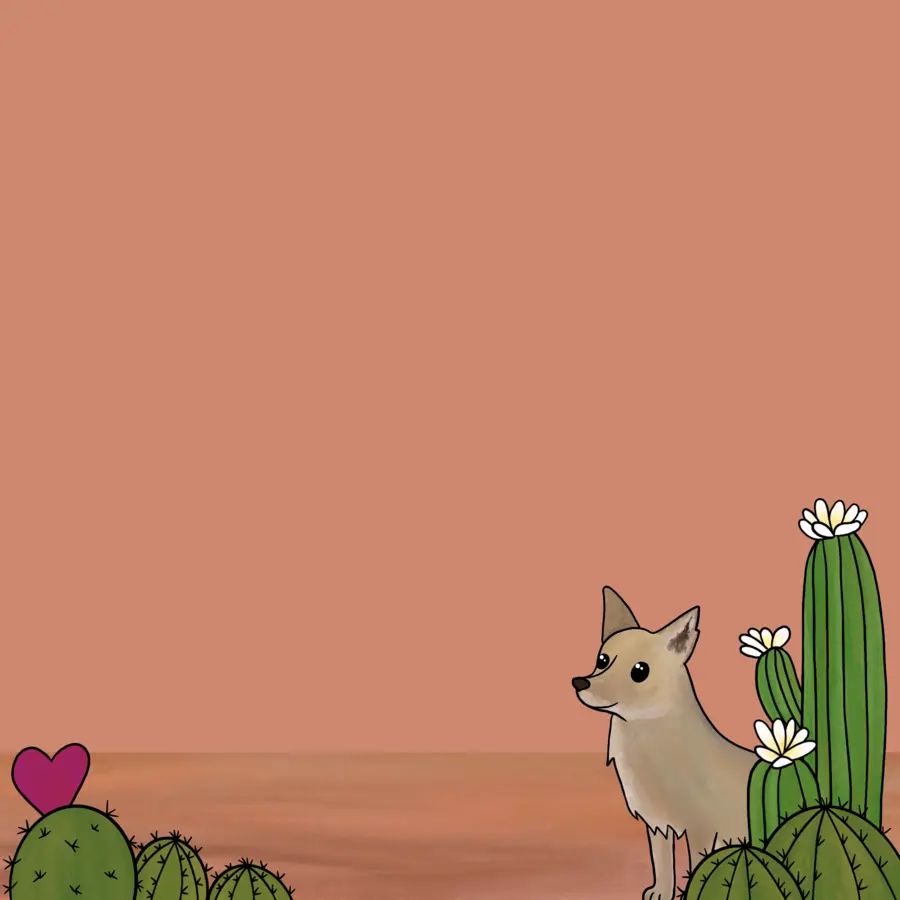 Contraportada de Atacama - Zorrito chileno junto a cactus del desierto